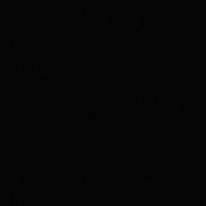 Meet your Posher, Rose